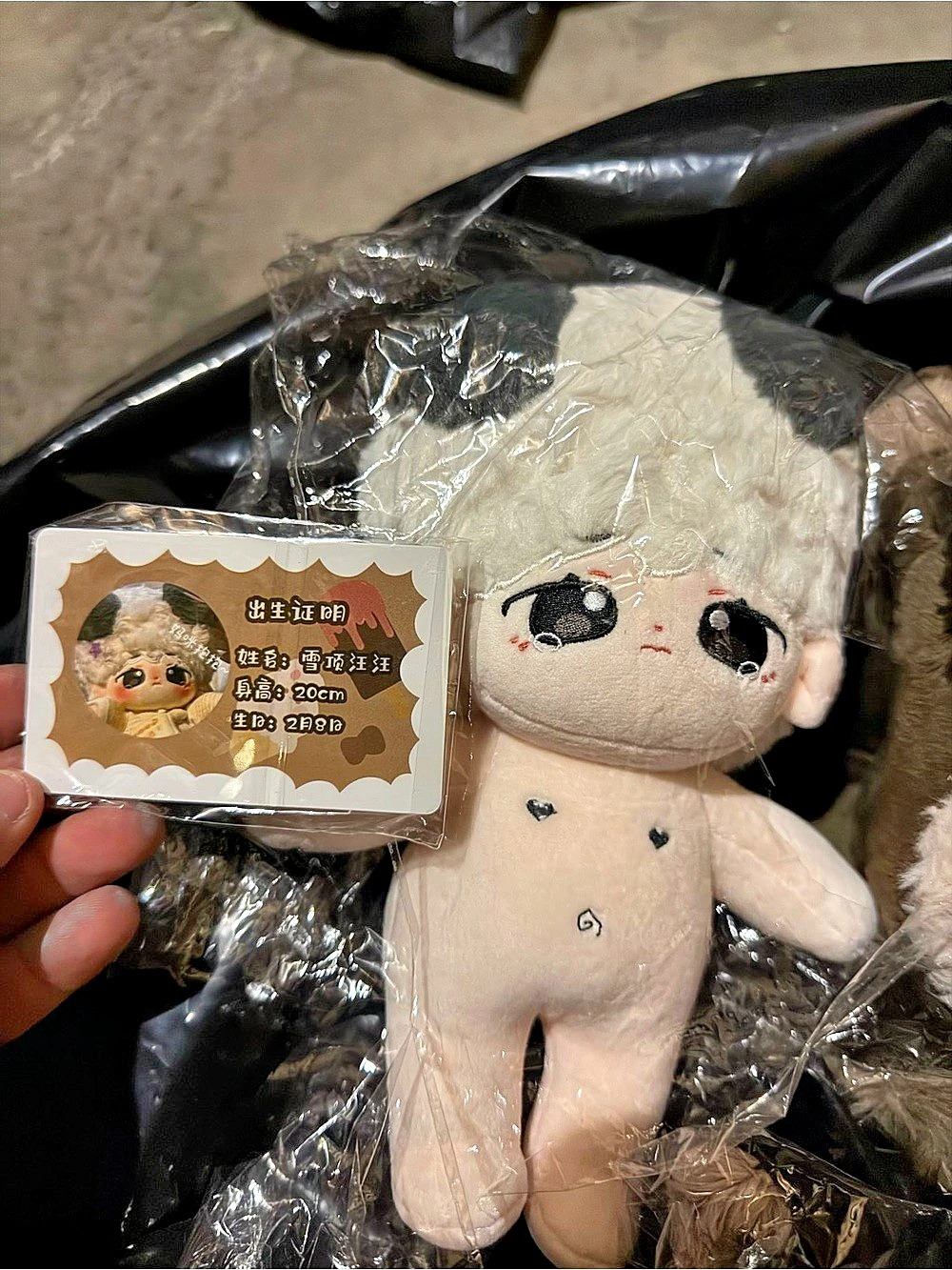 20cm Cotton Doll "Xueding Wangwang" Puppy Boy Plush with Birth Certificate ID Ca